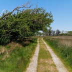 Dänemark 2025
