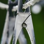 Nach dem Regen