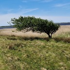 Dänemark 2025